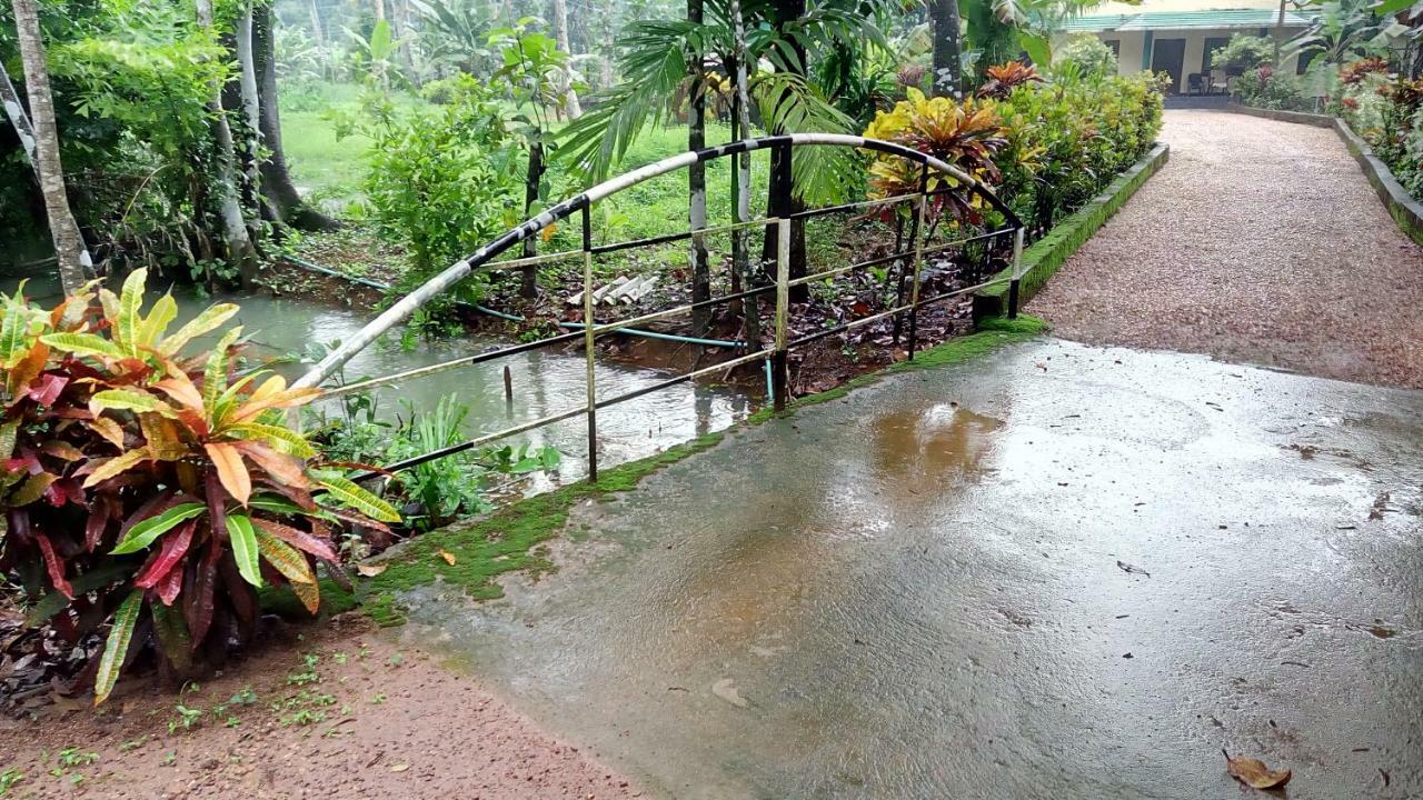 Kuttickattil Gardens Homestay Kottayam Exterior foto